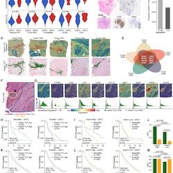 Figure from a scientific research study