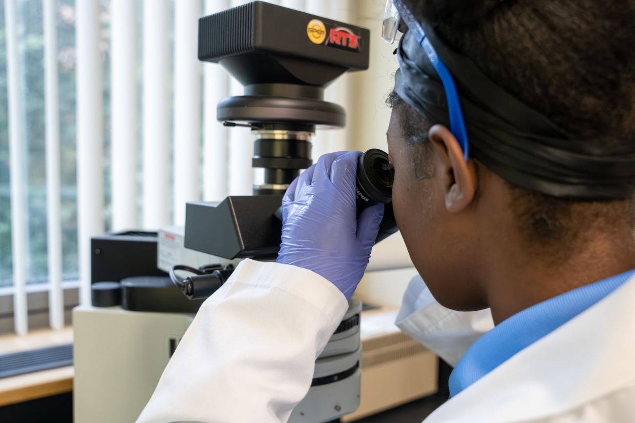 A female college intern in the SURE-CAN Program looks through a microscope