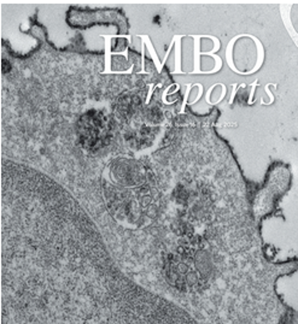 EMBO Reports Journal Cover