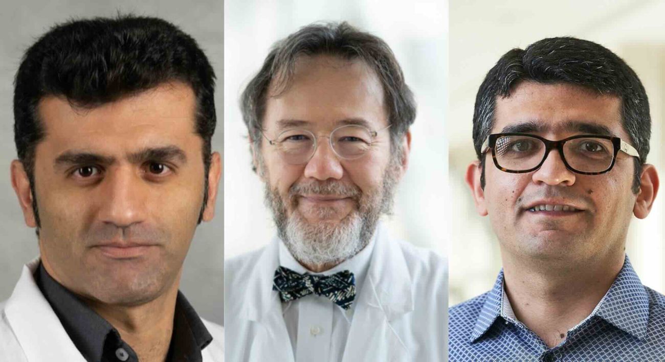 Three doctors headshots