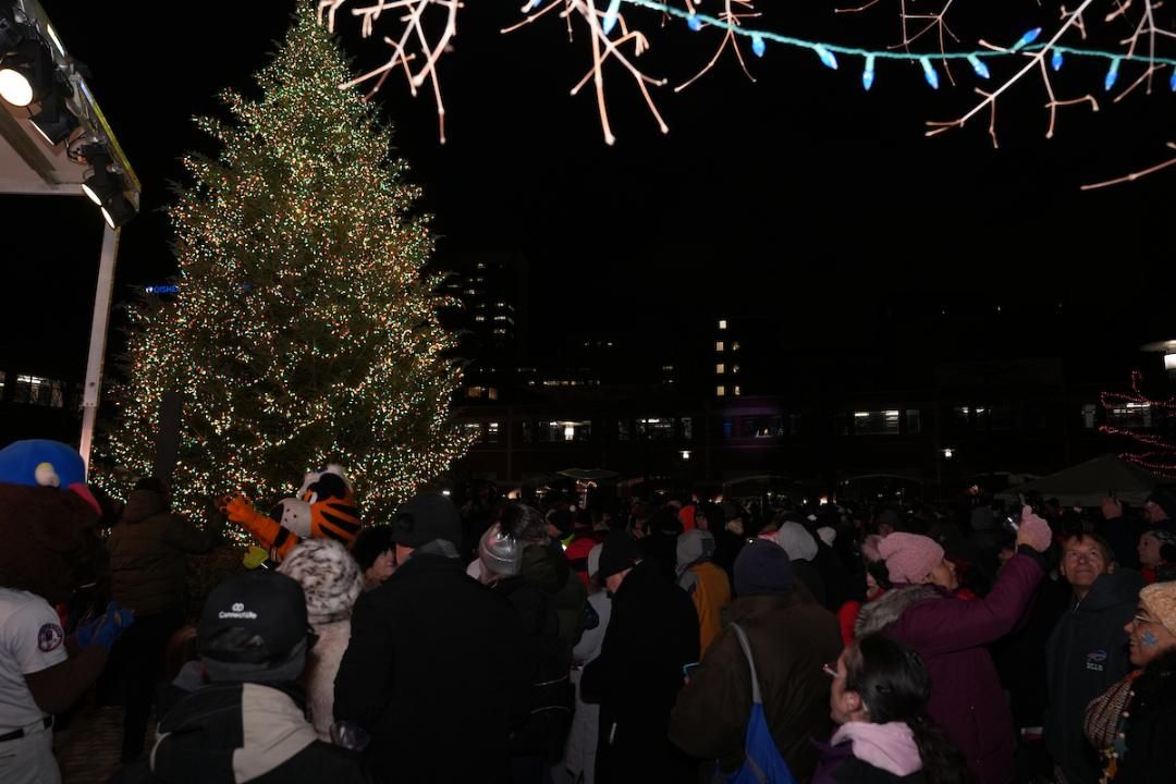 A view of the crowd at the 2025 Tree of Hope