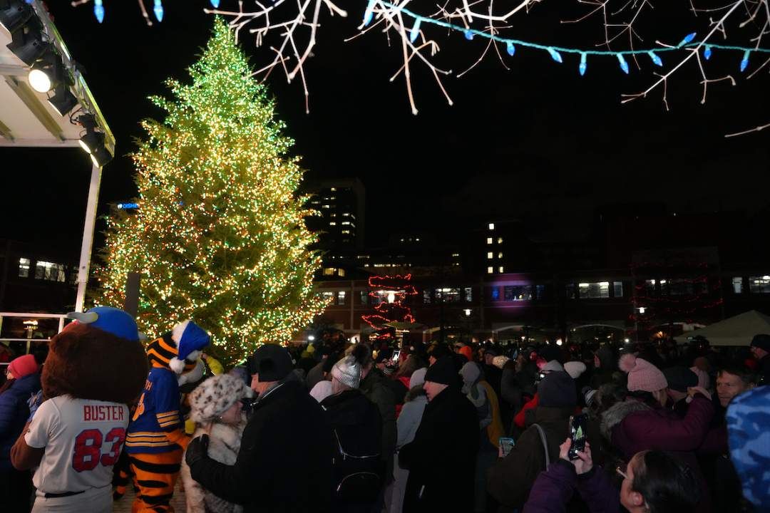 Revelers enjoy the lights at Tree of Hope 2025