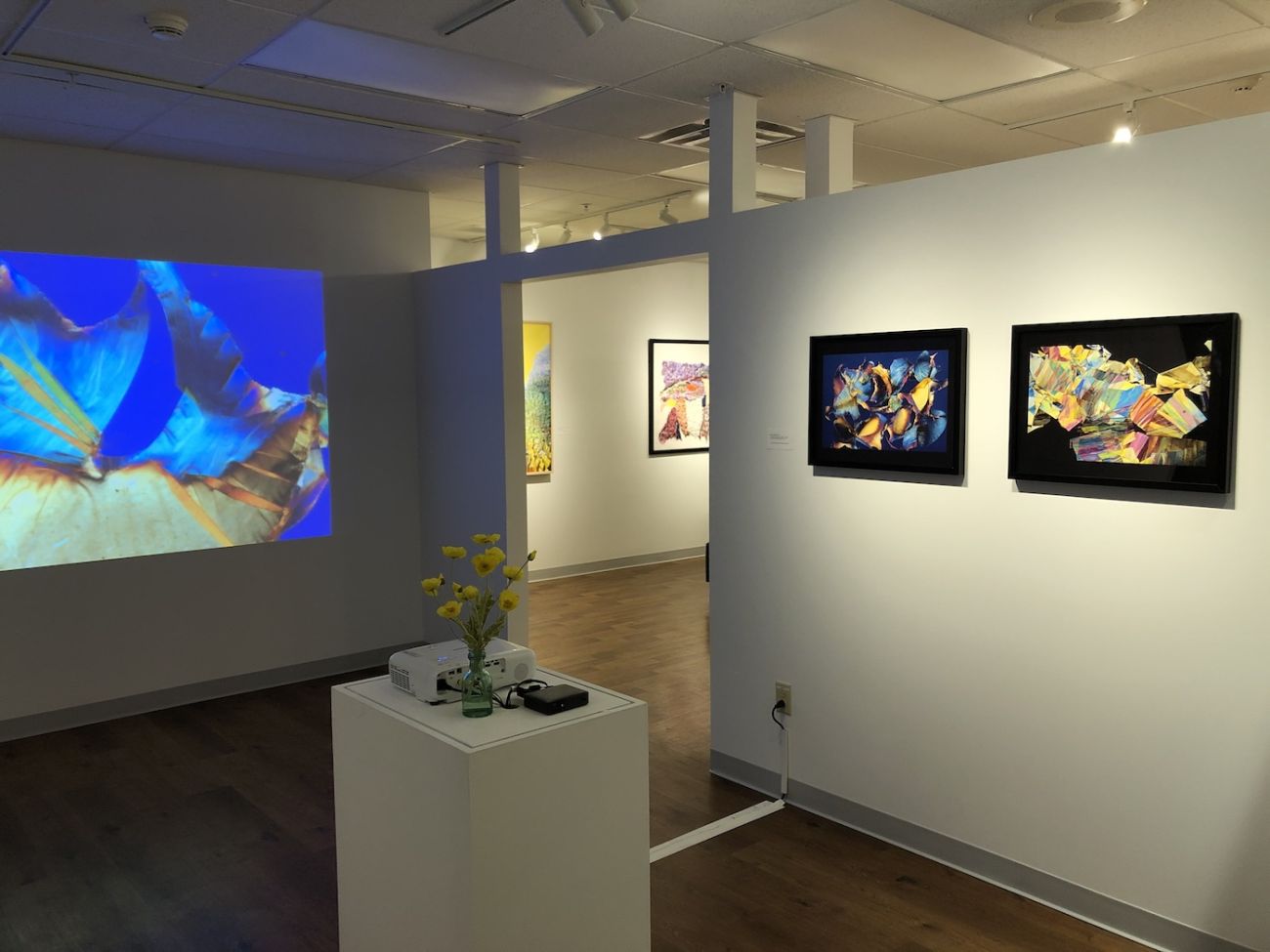 Art Heals Gallery displaying artwork and video display piece for "The Art of Seeing" exhibit