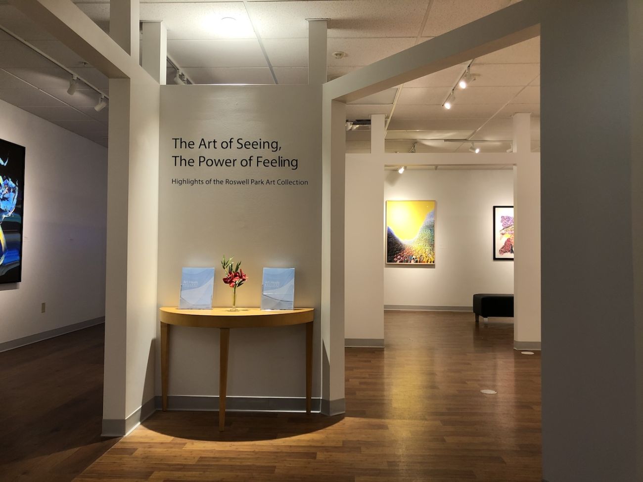Art Heals Gallery exhibit displaying the words "The Art of Seeing, The Power of Feeling"