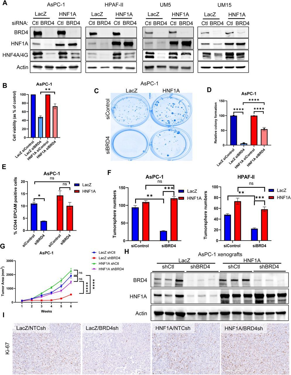 Figure from a scientific research study
