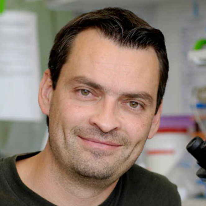 Phillippe Pasero, PhD