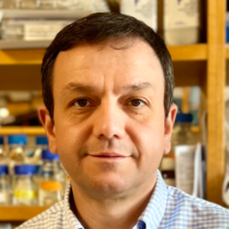 Ioannis Sanidas, PhD