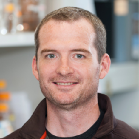  Iestyn Whitehouse, PhD