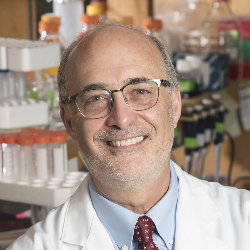 Michael B. Kastan, MD, PhD