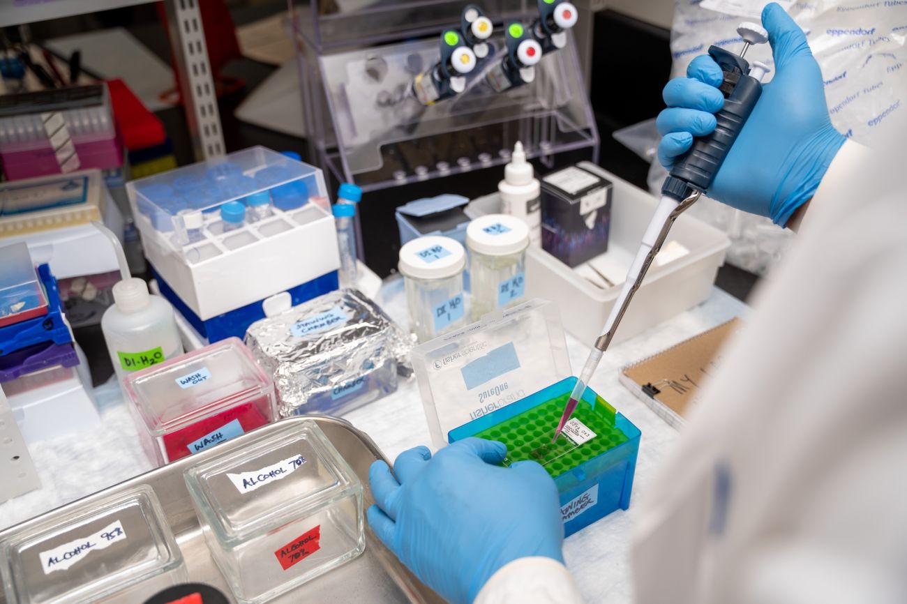 A gloved hand of a scientist fills a vial at a lab bench