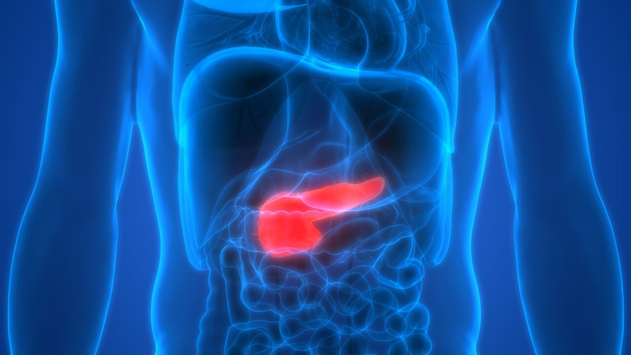 A diagram of an abdomen, the pancreas highlighted red against a blue background.