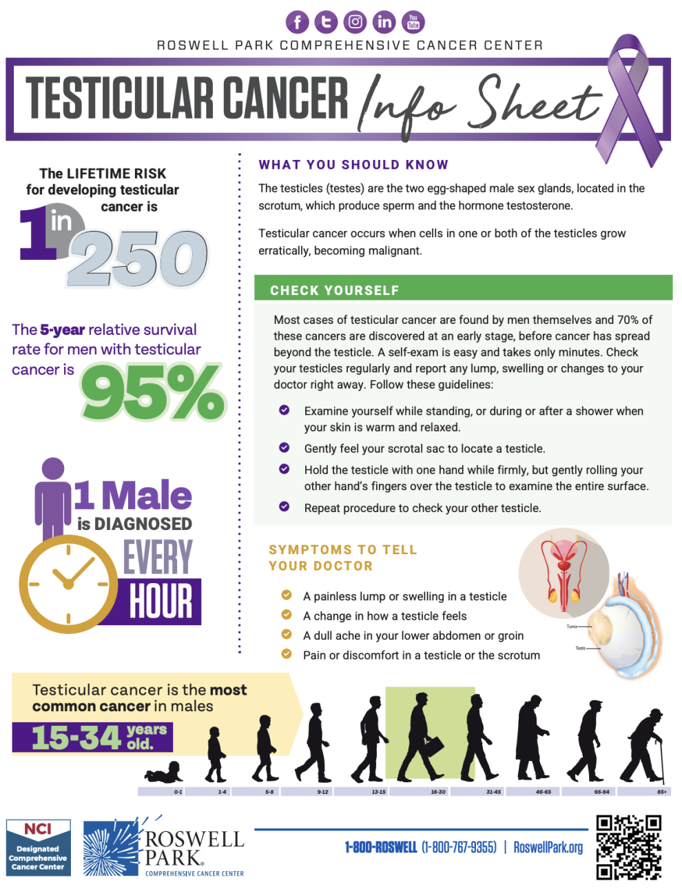Testicular Cancer Info Sheet thumbnail