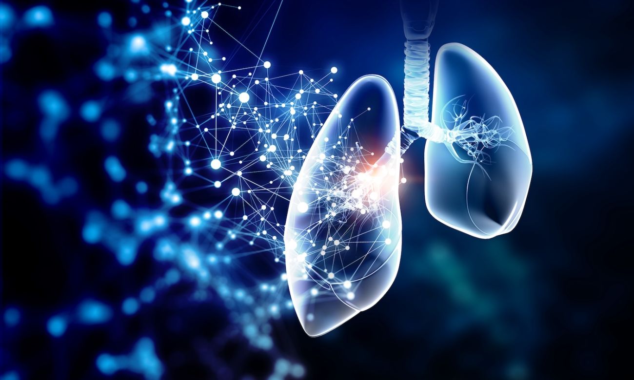 Photo of lungs