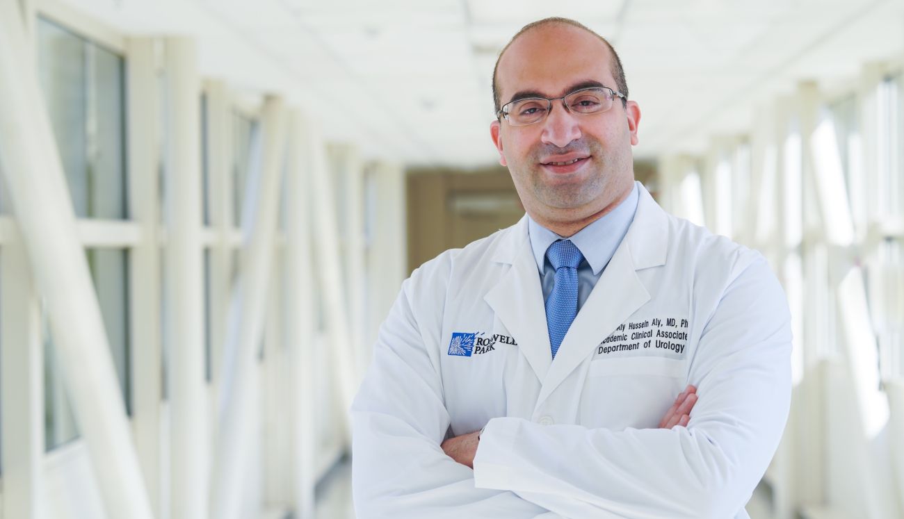 Dr. Ahmed Aly Hussein Aly