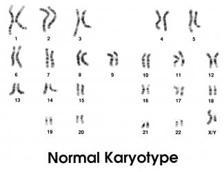 Clinical Cytogenetics Laboratory Roswell Park Comprehensive Cancer Center