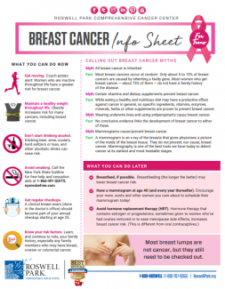 Breast Cancer Info Sheet for Teens 