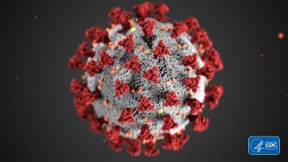 Artist rendition of coronavirus
