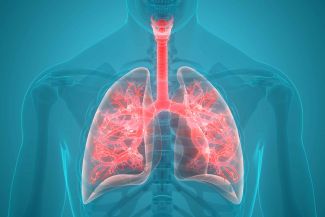graphic of lungs