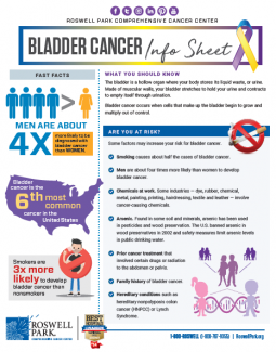 Bladder Cancer info sheet thumbnail