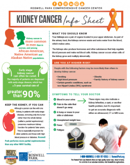 Kidney Cancer Info Sheet thumbnail 