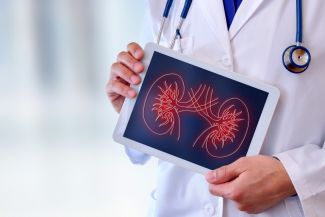 Doctor holding stylized image of kidneys
