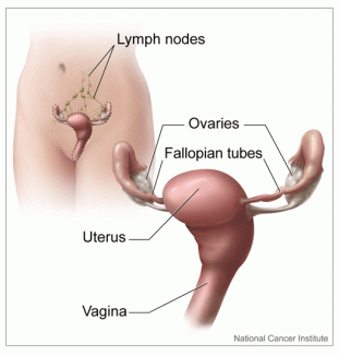 NCI uterus visual 