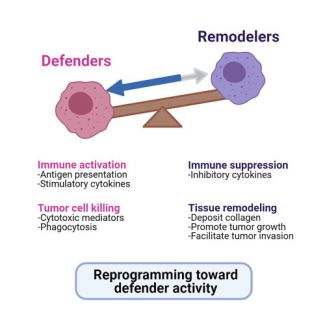 Immunology cell study figure