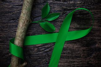 Green ribbon, representing bile duct cancer, wrapped around a tree branch
