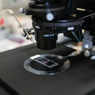 Close up of a microscope and slide