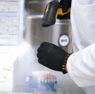 Department of Immunotherapy