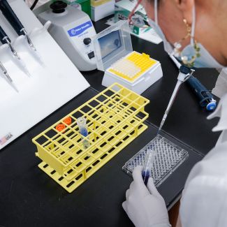 Scientist filling test tubes