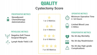 Criteria for a Quality Cystectomy Score