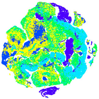 Flow Cytometry