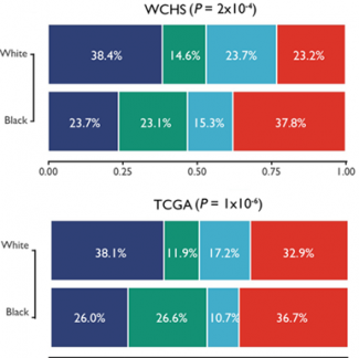 Data for a research study on breast cancer