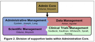 Organization Chart of the SPORE
