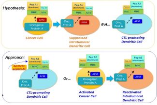 Roswell Park-University of Chicago Ovarian Cancer SPORE Project 2