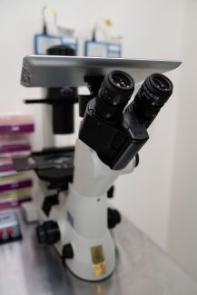 Microscope