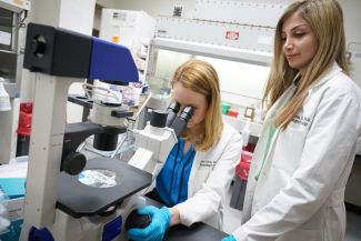 Two scientists looking in a microsope