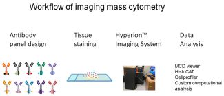 Mass Cytometry Workflow