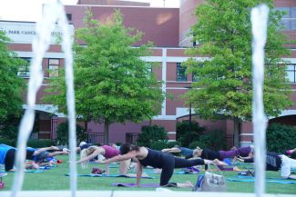chapter 2 cancer surivor workshop 2017 yoga
