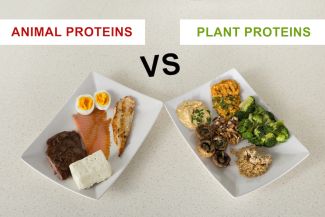 Animal vs. plant protein - nutrition blog 7/22