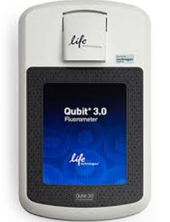 Qubit Machine