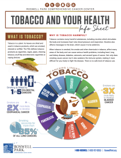 Tobacco and your Health info sheet