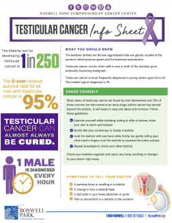 Testicular Cancer Info Sheet thumbnail