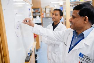 Scientists writing on a whiteboard