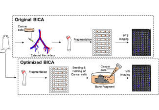 Figure from a scientific research study