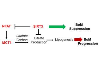 Figure from a scientific research study