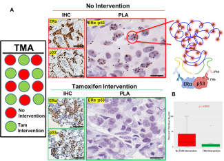 Figure from a scientific research study