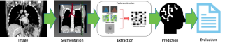 Figure from a scientific research study