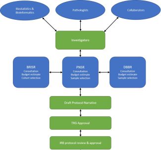 PNSR Flow Chart